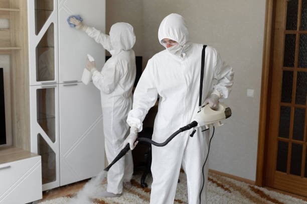 24/7 Emergency Odor Removal experts in Rogers, TX