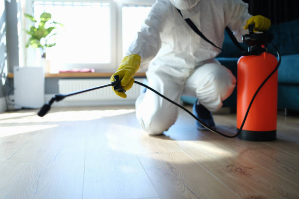 Reliable Odor Removal contractor in Rogers, TX by Trauma Clean Pros